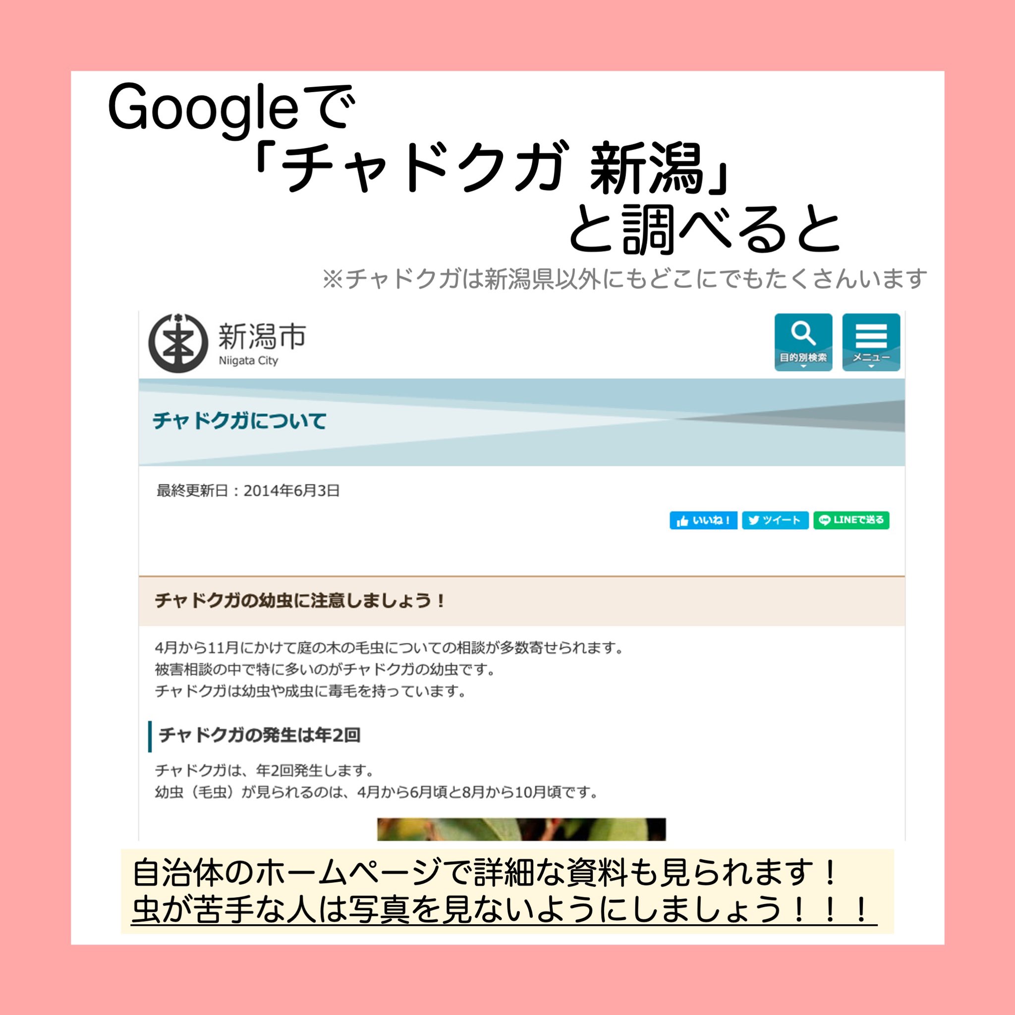 やさしい皮膚科医 治療薬としては まずはステロイド軟膏が一般的です 市販品ですと リンデロンvs軟膏などが挙げられます 症状が重い場合には飲み薬も必要かもしれませんから お早めに病院を受診してくださいね T Co 2zvccdrwmn Twitter