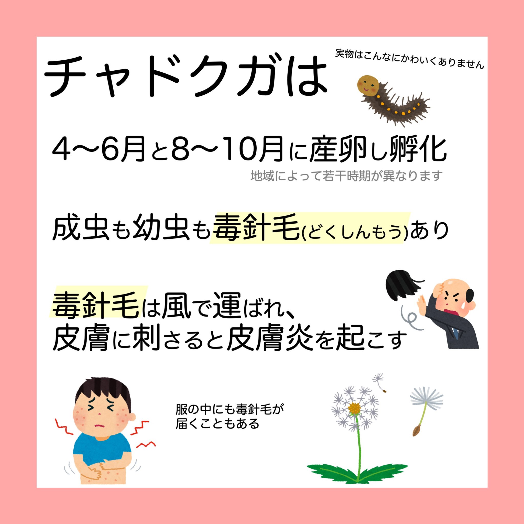 やさしい皮膚科医 治療薬としては まずはステロイド軟膏が一般的です 市販品ですと リンデロンvs軟膏などが挙げられます 症状が重い場合には飲み薬も必要かもしれませんから お早めに病院を受診してくださいね T Co 2zvccdrwmn Twitter