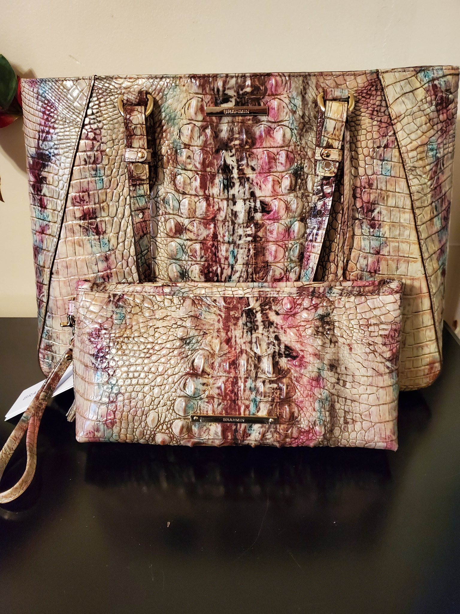 All Things Brahmin BrahminFans X