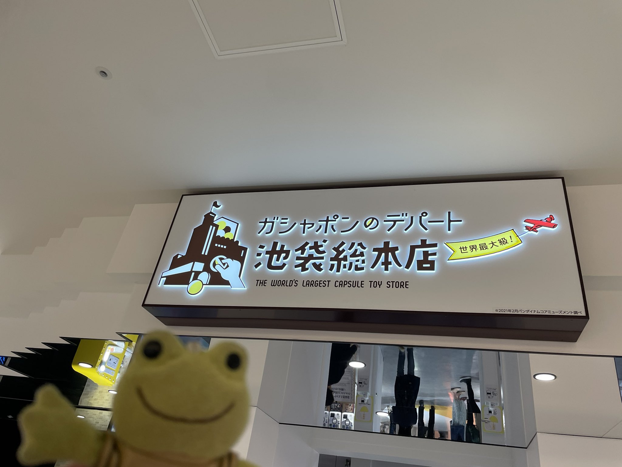 めぐみ 気づかなかっんですけど 池袋サンシャインシティにあるー ガシャポンのデパートにかえるのピクルスがいました フラワーbase のコーナーに ぬいぐるみの花束を作ってくれるショップです うれしいですね ピクルスがいるのって
