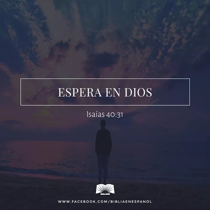 Christopherlo42's tweet image. #NewProfilePic