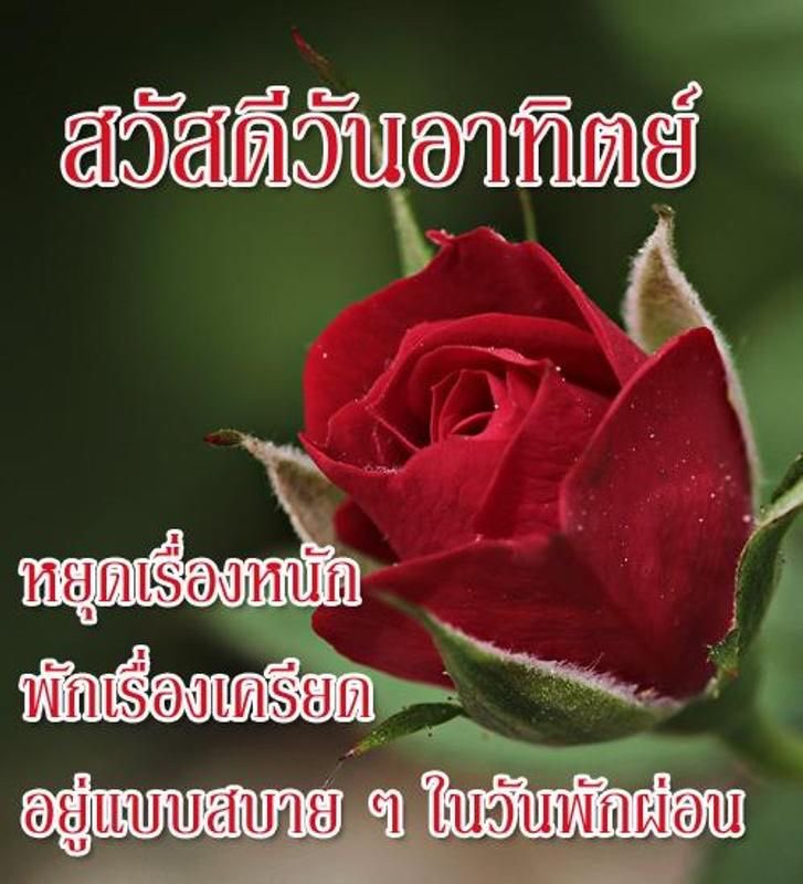 ; tweet media