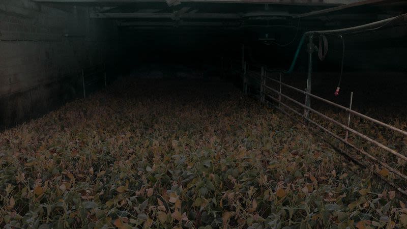 More Realistic Meat Substitute Made From Soy Raised In Brutally Cruel Conditions bit.ly/3tieNZk