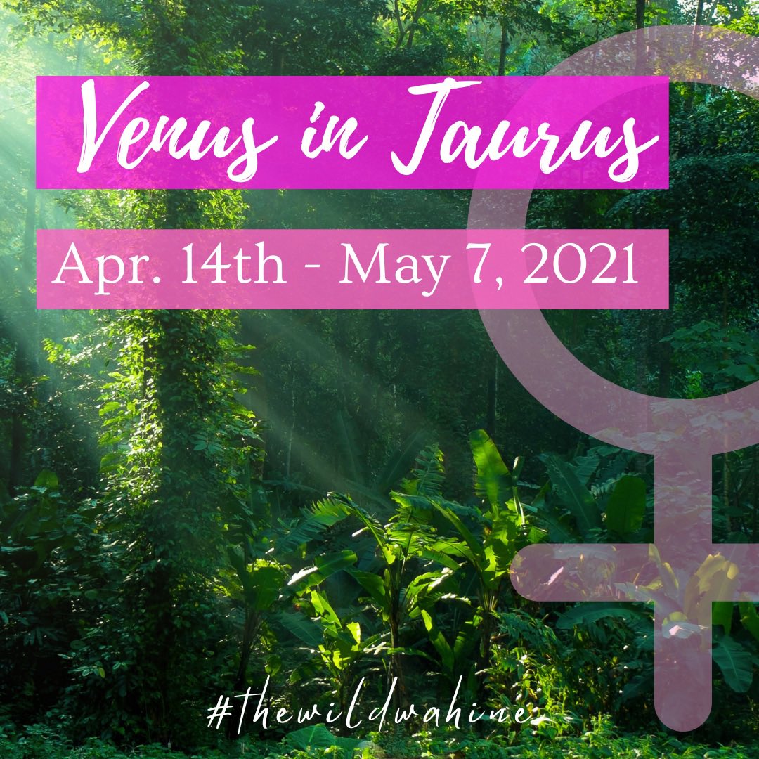thewildwahine's tweet image. Venus in Taurus ♉️ I love this time! #taurusseason almost here!! #sunintaurus #taurus
