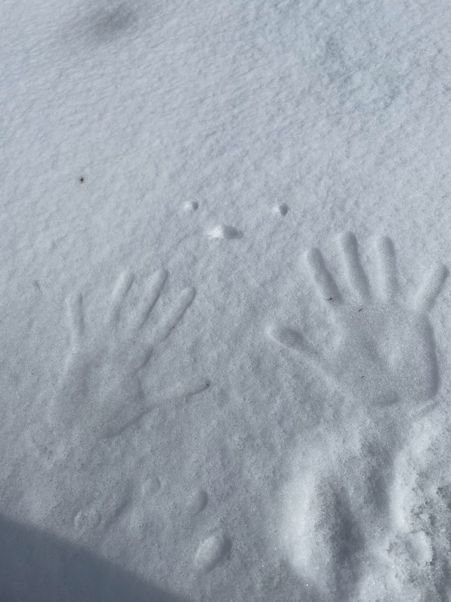 IU_Interp_Class's tweet image. Tracks can tell us a lot about the types of animals (or humans) inhabiting our area in #iubloomington What animal tracks are seeing this spring? #interpretthis 
bit.ly/3mVjmX8
