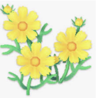 InfinityACNH's tweet photo. Looking for any of the following flowers if you have some to get rid of! #acnh #AnimalCrossing https://t.co/iHTiUlTS8z