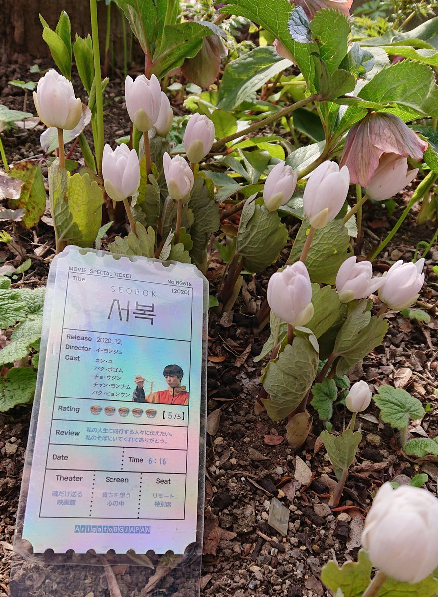 sakubogummy's tweet photo. ボゴムさんも💗💗💗
休暇中に、✨✨✨✨
劇場で観たみたいだね💗💗💗💗

#박보검 #ParkBoGum
#서복천만관객기원
#Bridge1000 
#ArigatoSEOBOK
#日本公開ありがとう

カナダケシ https://t.co/YFt2S8k2Ix