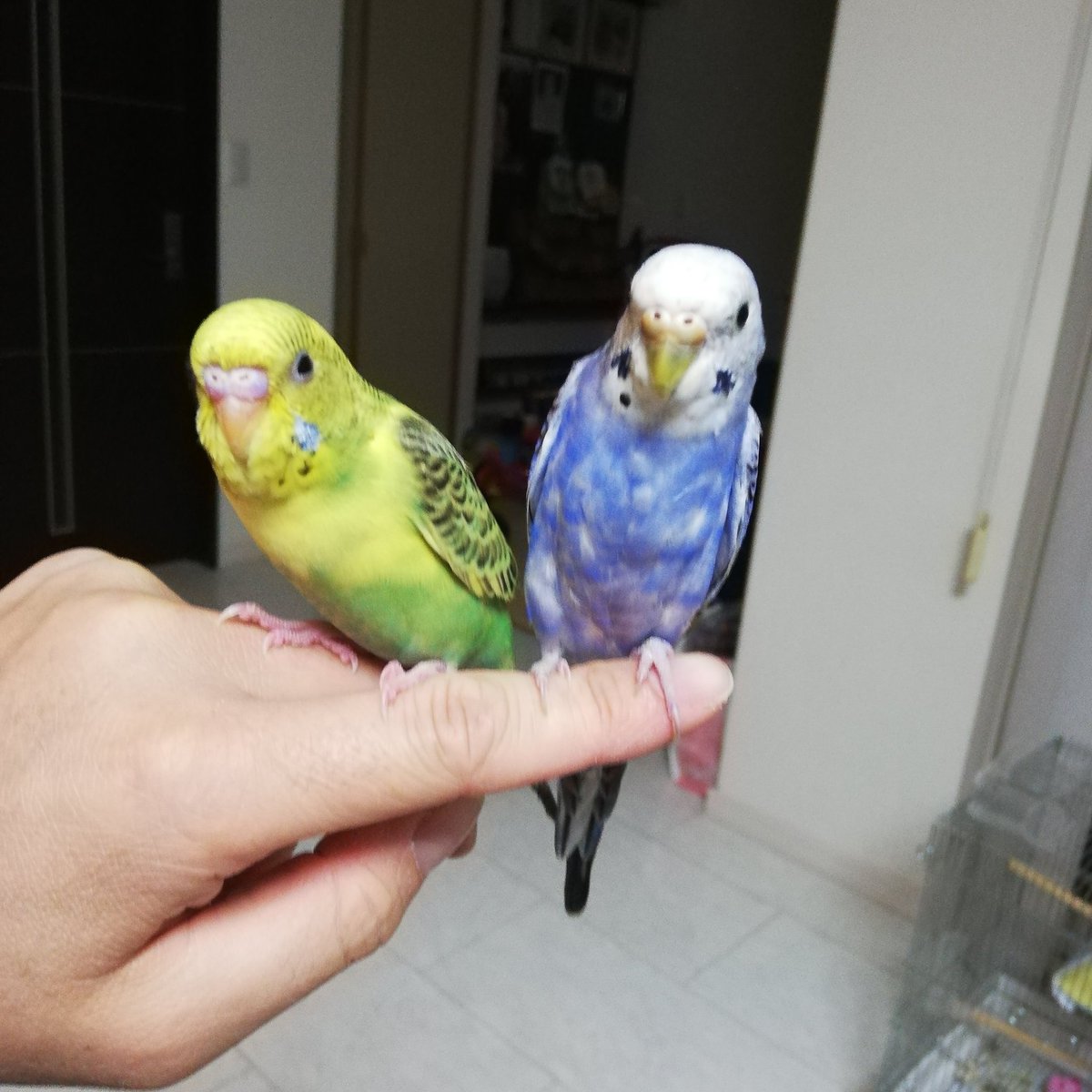 Dkzs08sefjvbim Dkzs08sefjvbim