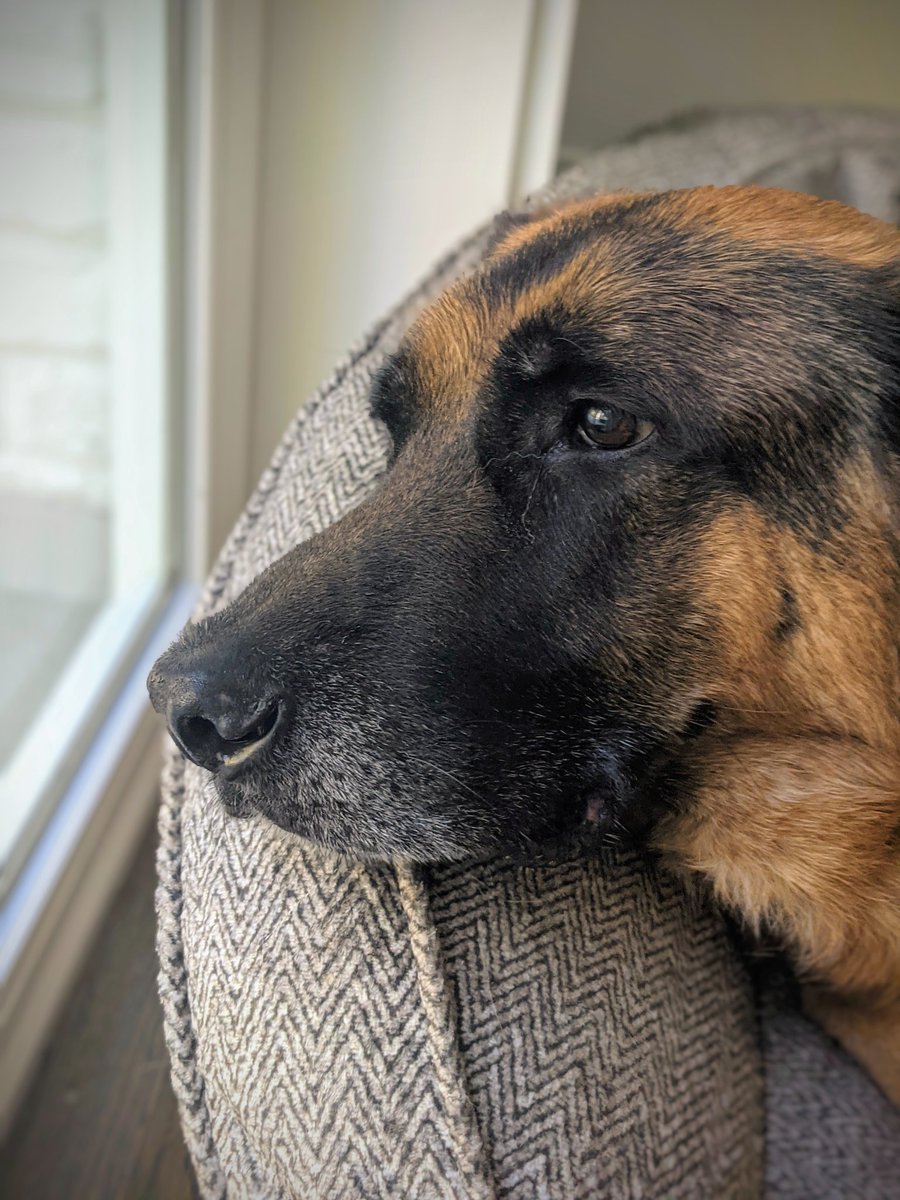 "What if I never find out who's a good boy?"