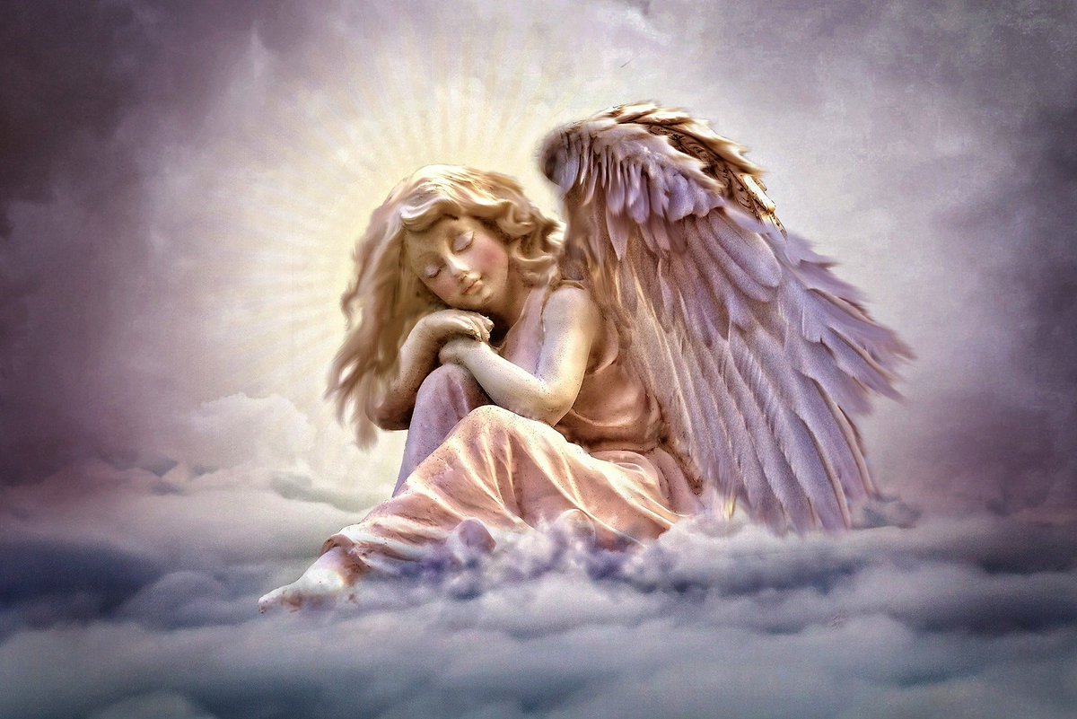 RelaxingMusicXZ's tweet photo. Healing Angel BGM
↓↓↓↓↓↓↓↓↓↓↓↓↓
https://t.co/rFdTx2GieE

#963Hz #528Hz #Solfegiofrequency #healing #healingmusic #relaxingmusic #relaxing
#meditation #meditationmusic #music #movie #yoga #yogamusic #Sleep #sleepmusic https://t.co/UWJzeYdI2v