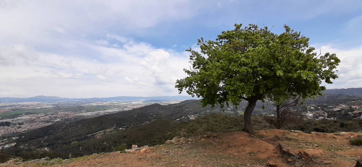 De tant en tant, aturar-se, contemplar i agraïr (malgrat tot) esdevé essencial per a poder continuar.

De vez en cuando, pararse, contemplar y agradecer (a pesar de todo)llega a ser esencial para poder seguir.
#AquestSantJordi #Regala #VaDeVida #PremiFeelGood #PlataformaEditorial