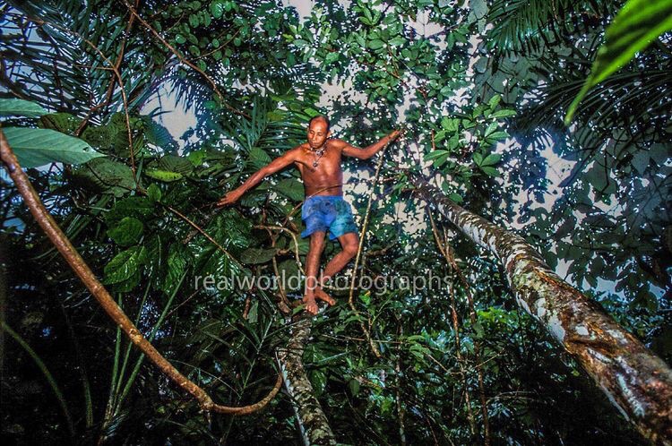 RealWorldImage's tweet photo. A Shaman searches for yaje ingredients in the Amazon rainforest. South America. #southamerica #rainforest #colombia #malmo #sweden #nature #yaje #ayahuasca #videoproduction #archive #images #video #realworldphotographs #photography   #photojournalism #nikon #streetphotography https://t.co/gGlhZQrgTM