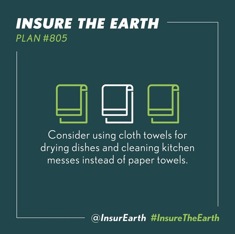 Plan #805: Consider using cloth towels for drying dishes and cleaning kitchen messes instead of paper towels

#InsureTheEarth 🌎🌍🌏