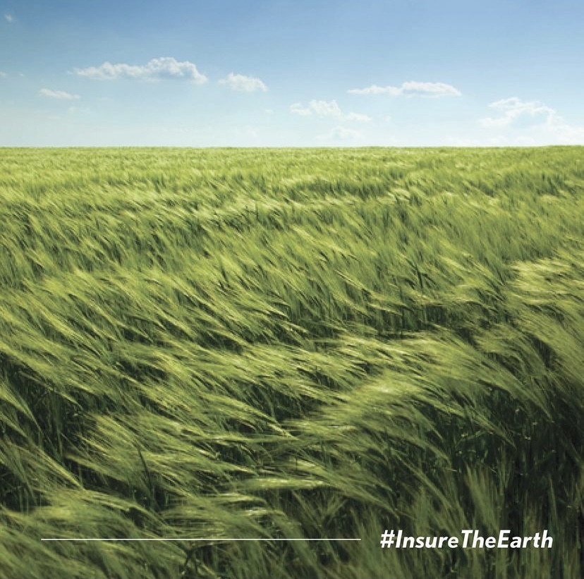 There are hundreds of small ways you can help to #InsureTheEarth

Pick a plan and start today 🌏🌍🌎