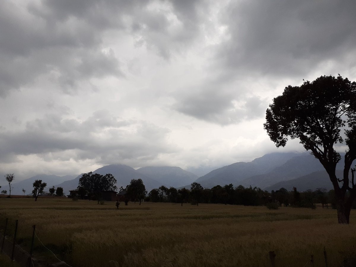 pvyasbuzz's tweet photo. Paraur a small village with beautiful landscapes in himachal.
#paraur #HimachalPradesh #Himachal https://t.co/8eleDv3h6F