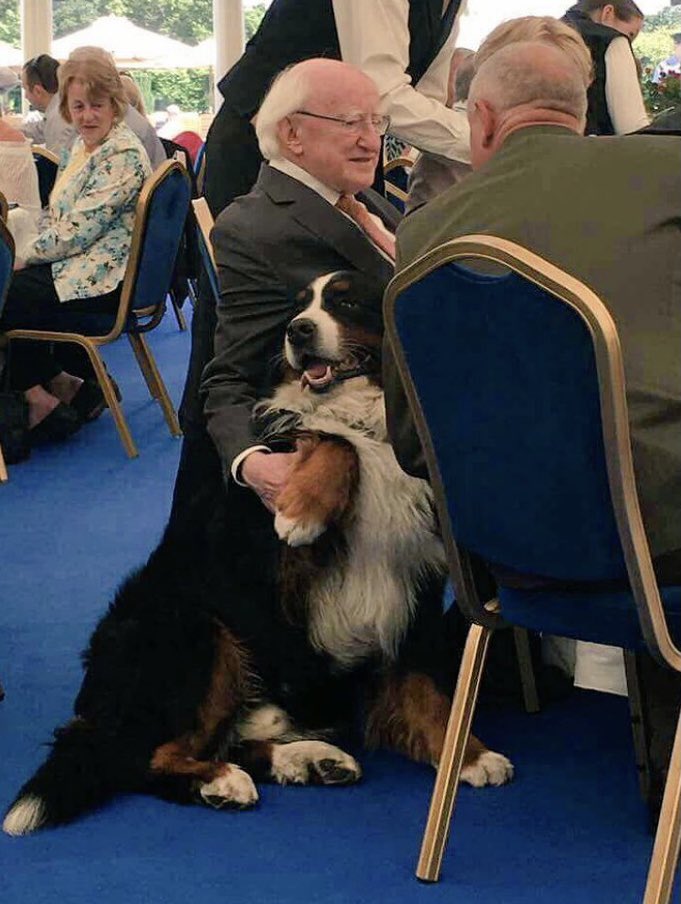 Here are some of my fave pics of Miggeldy to brighten your day