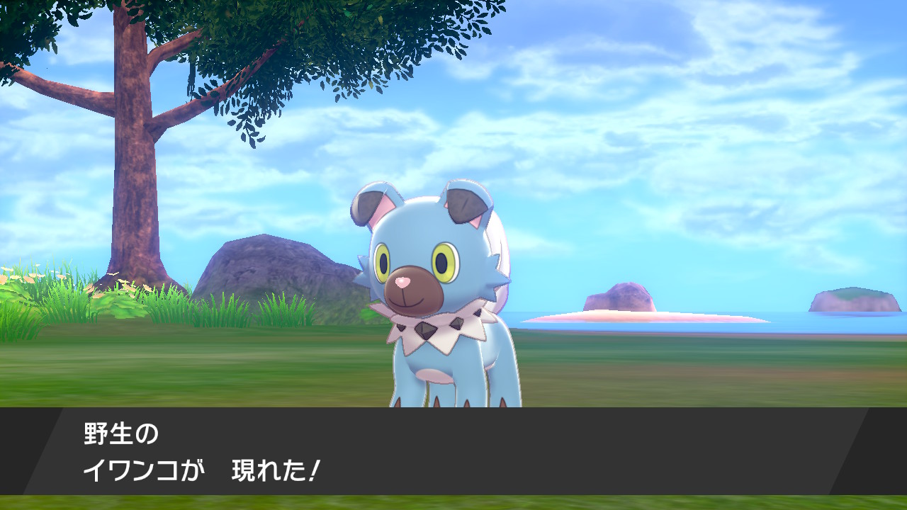 ナビィ 色違いヨーギラスの孵化作業中に色違いのイワンコgetしましたw ポケモン剣盾 Nintendoswitch T Co Adkyz92igm Twitter