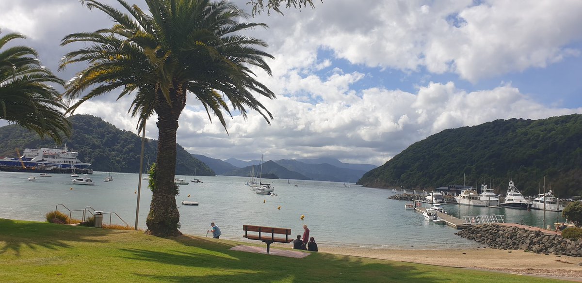 geraldleejordan's tweet photo. Walking the foreshore of Waitohi (Picton) while looking at properties.
#Waitohi #Picton #Aotearoa #NZ https://t.co/Wjz0ov6Vfs