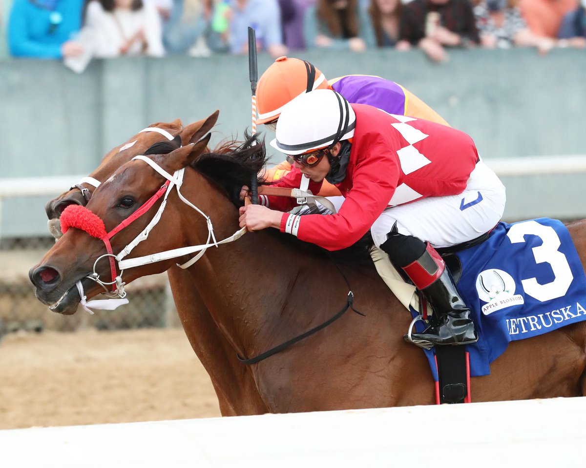 Super Saver kızı Letruska , Gr1 Apple Blossom Handicap kazandı