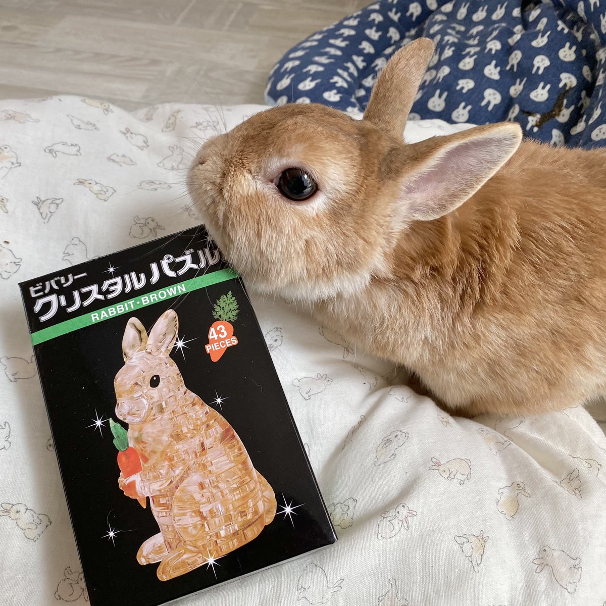 うさぎのラン ㅅ クリスタルパズル買ったの 可愛すぎる そしてオシャレ おうち時間に頭を使うのもいいかも クリスタルパズル うさぎ ビバリー