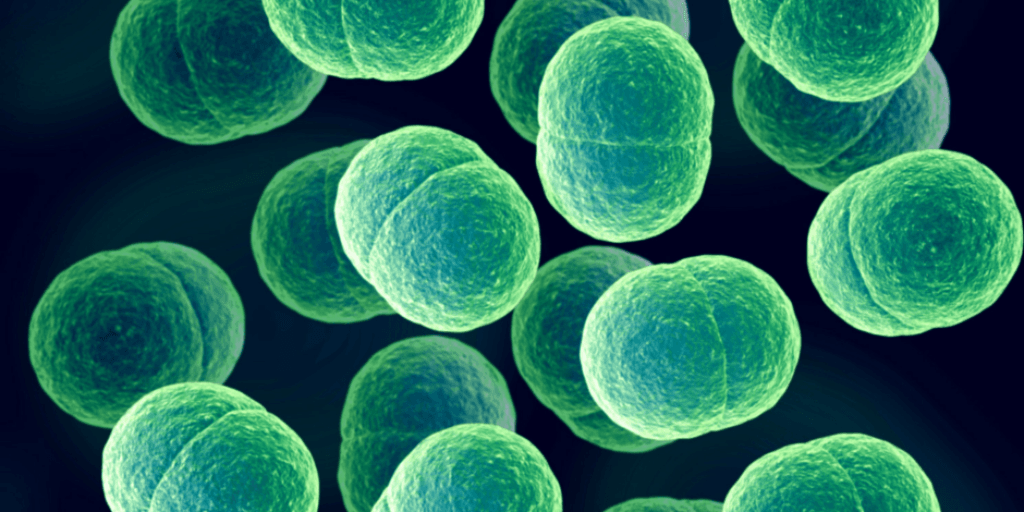 🕷🪲Chronic #LymeDisease is a serious illness. With warmer weather/Spring being here, we thought we should share our guide for Lyme disease and #disability claims. Readit here: buff.ly/2QAB5ap
#invisibleillness #chronicillness