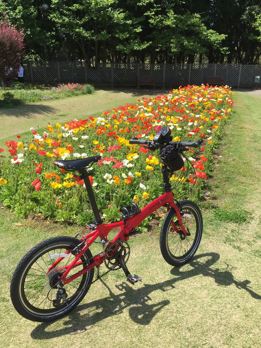 fatbiker19691's tweet photo. この時期は何処に行っても色とりどりの花が咲いてて癒されるぅ〜
🌷🌷🌷🌷🌷

#DAHON
#minivelo
#cycling
#potaring
#ダホン
#稲毛海浜公園
#季節の花 https://t.co/Pie1lahFFv