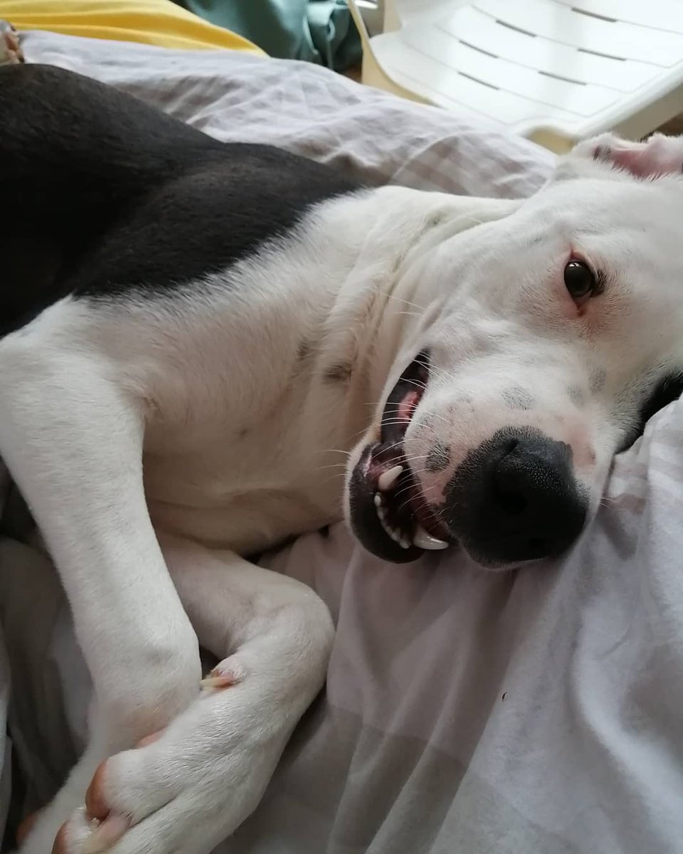 Sımaaaayyylllllllll 😁