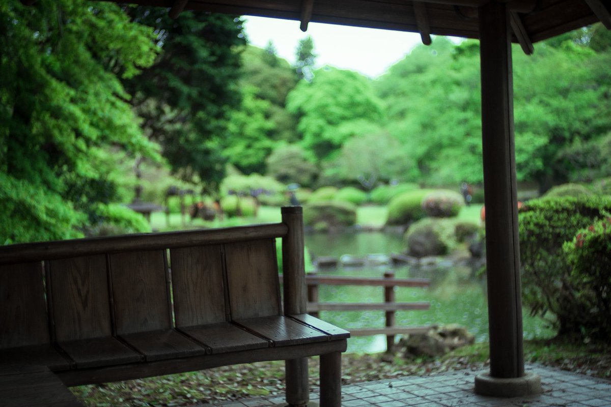 Es 雨の新宿御苑 言の葉の庭 Xpro2 Photography Es 雨の新宿御苑 言の葉の庭 Xpro2 Photography
