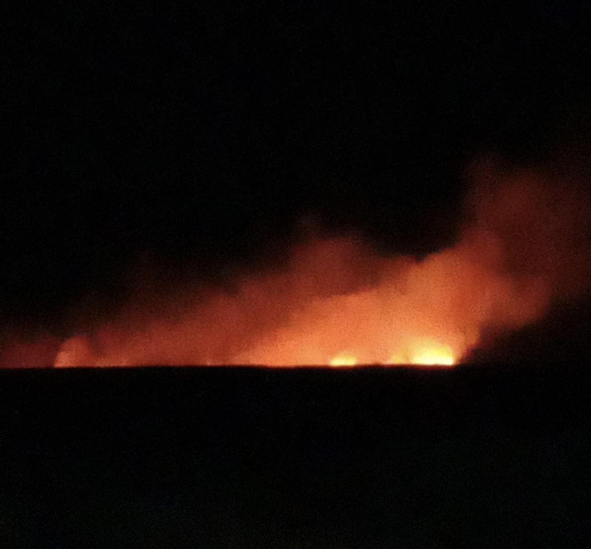 Bill Gordon tweet media