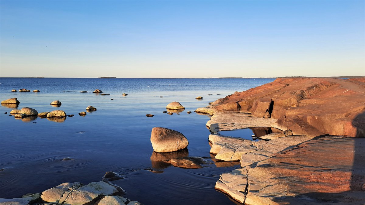 KnuuttilaS's tweet photo. Kaunis mutta viileä varhaisaamu #Suomenlahti'n rannalla #Helsinki'ssä. Koillistuuli pitää #linnut muuton olemattomana. #Lauttasaari'n kevään ensimmäinen #tiltaltti sentään viritteli lauluaan. https://t.co/PXHXgr4N7O