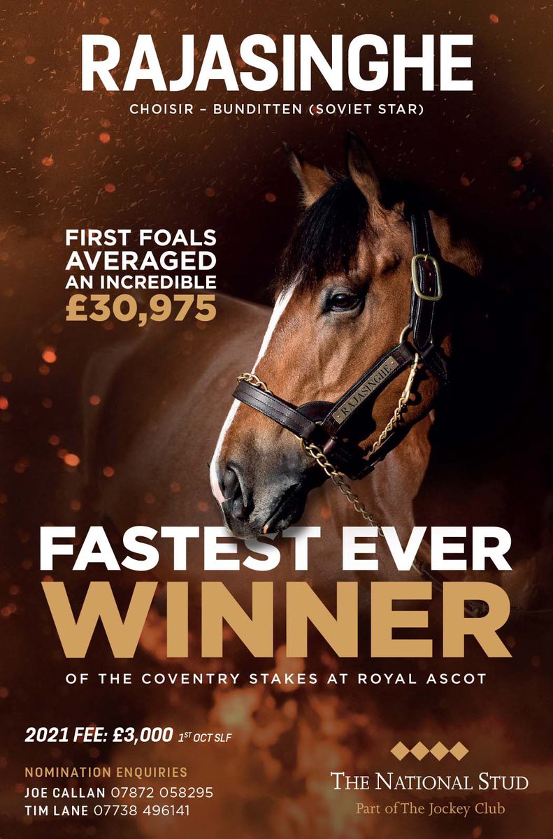 NatStudStallion's tweet photo. With 2yo’s making their racecourse debuts & owners everywhere dreaming that theirs might be the next superstar, why not send your mare to a record breaking Royal Ascot Gr.2 winning 2yo & breed your very own 2024 Coventry winner! 🏆🐎
Just £3,000 for 2021 😳
#Value #EarlySpeed https://t.co/fQJH6DSZCQ