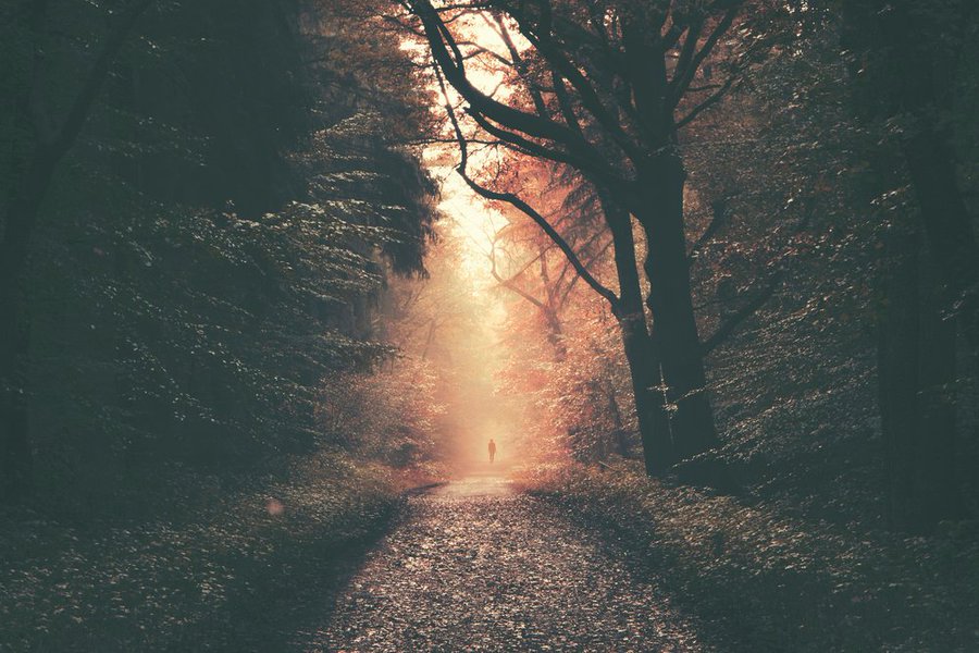 Düzgün ve dürüst bir insan olarak dünya yolculuğunu tamamlamak, kazançların en güzelidir.