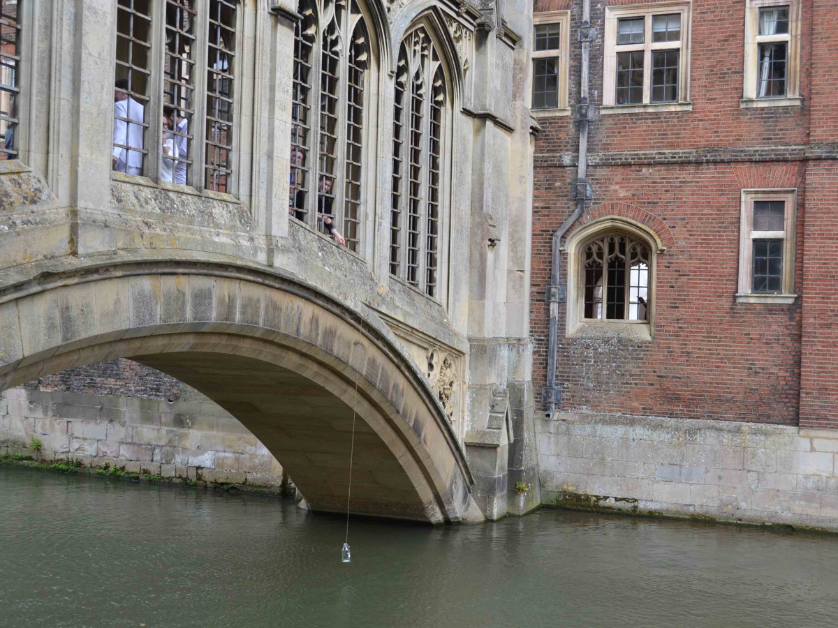 The Naked Scientists tweet media