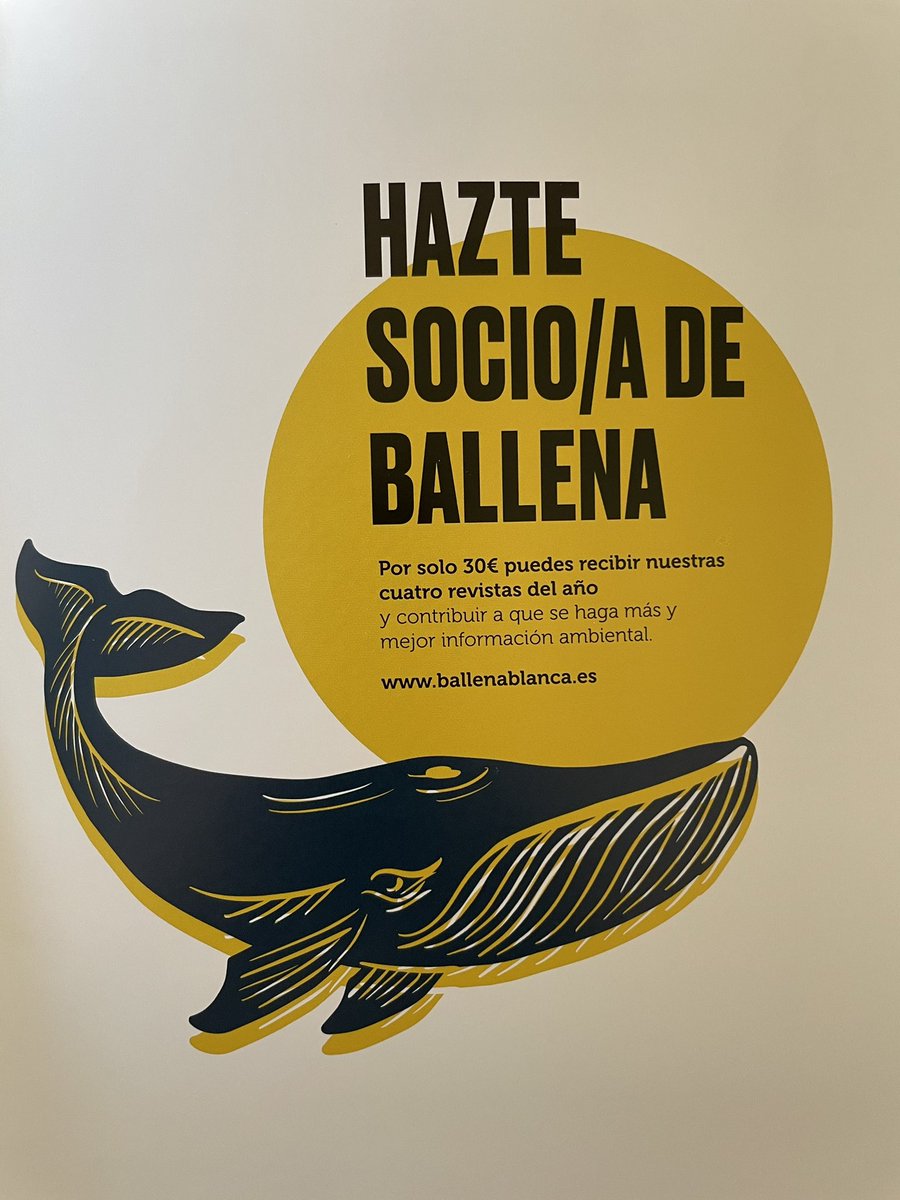 👏🏻👏🏻👏🏻👏🏻👏🏻  <a href="/ballenablanca_/">Ballena Blanca</a>  muy recomendada!!