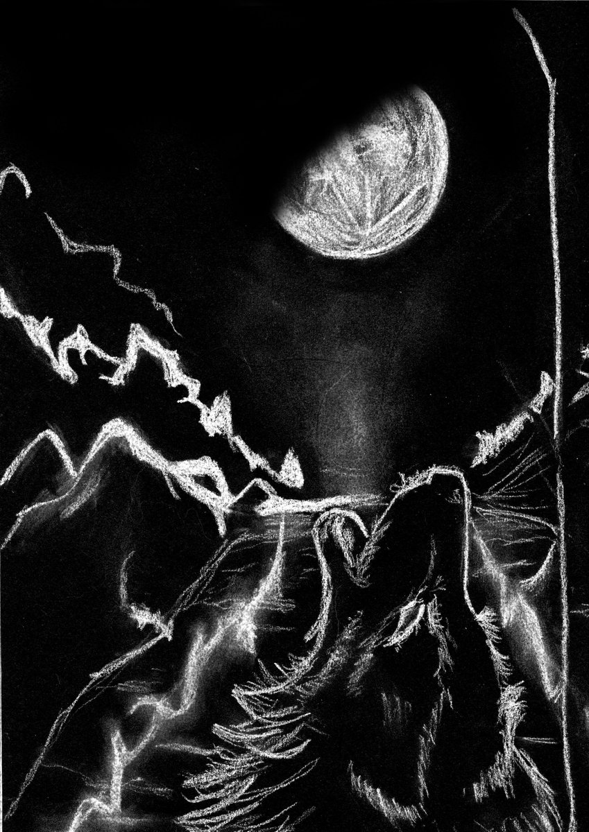PerrotMarionCo1's tweet photo. Voici un nouveau dessin, je teste la pastel blanche 
Un essai par rapport aux autres travaux https://t.co/iBODNrNiBd

#dessin #pastel #noiretblanc https://t.co/mSTfw4MtGX