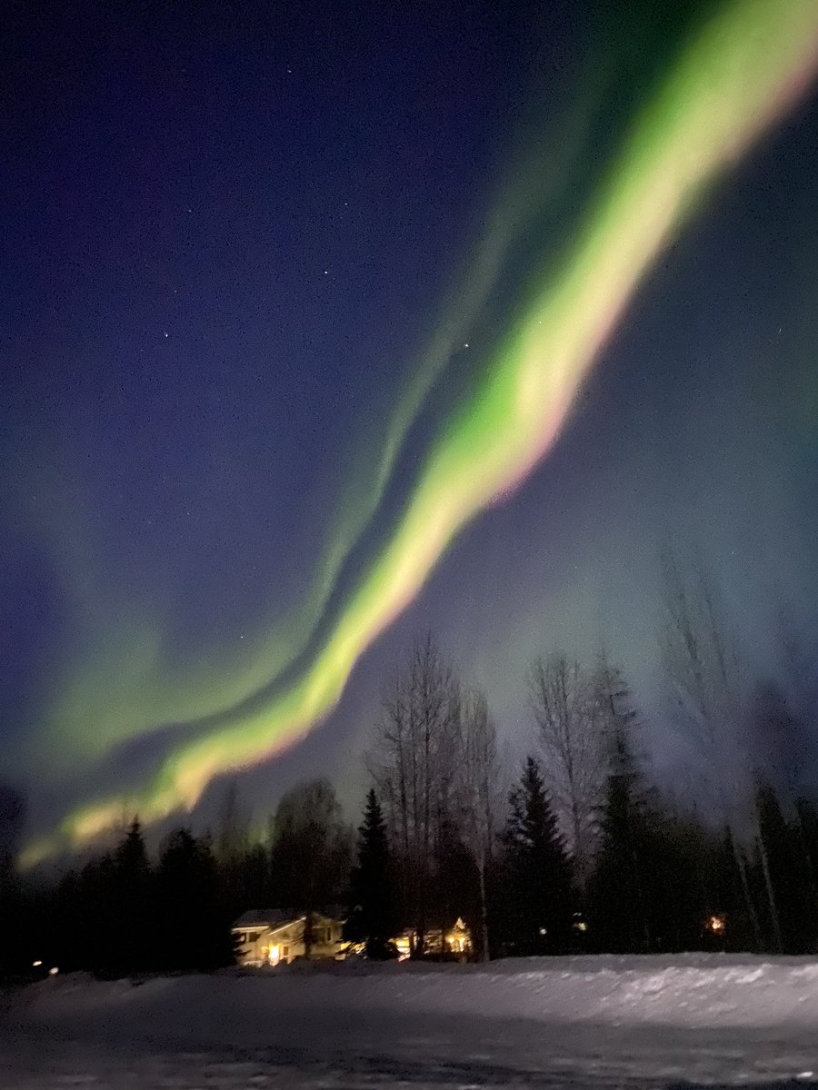 HeyLyss907's tweet photo. Just now in Moose Creek, AK @AuroraNotify 💚 #Auroraborealis https://t.co/81GRckr0zU