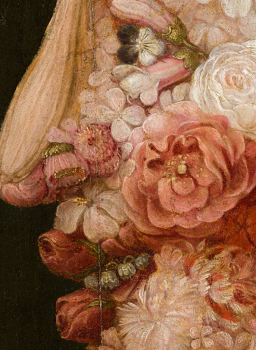 eduardobarba_'s tweet photo. Una de las 'cabezas compuestas' de Giuseppe Arcimboldo, con docenas de especies vegetales π¨πΏ
Trinitaria (Viola tricolor).
'La Primavera', 1563, RABASF, Madrid.
π· Viola tricolor π· Kjetil Lenes
#arcimboldo #giuseppearcimboldo #testecomposte #violatricolor #rabasf https://t.co/jNQ39FtCGp