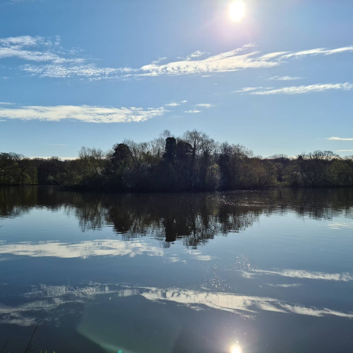 SarahMorganNHS's tweet photo. Glorious day for a run in our beautiful @CoLEppingForest 

Have a wonderful Sunday 😊

#sundayrunday #wellfar #lovewhereyoulive #forestlife https://t.co/OtaUZ9ulkU