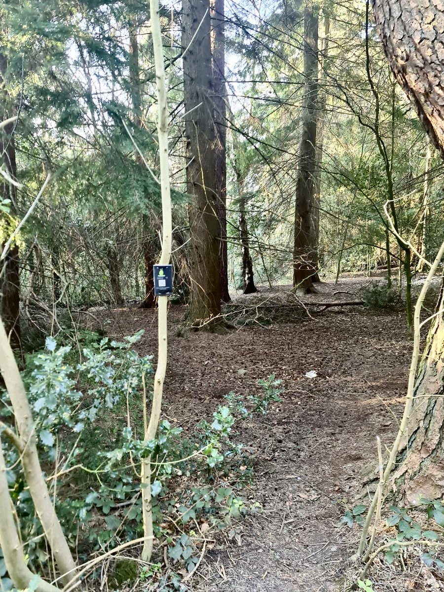 HarrogateFest's tweet image. If you go down to the woods today you’re sure of a big surprise, as our FREE family QR Trail has landed. 

Grab your phone &amp;amp; head to the Pinewoods to discover Blob, Flob &amp;amp; Glob - fun for all ages.

👉 bit.ly/FamilyQRTrail

Working in partnership with @PinewoodsHgt &amp;amp; @QUESTR_QR