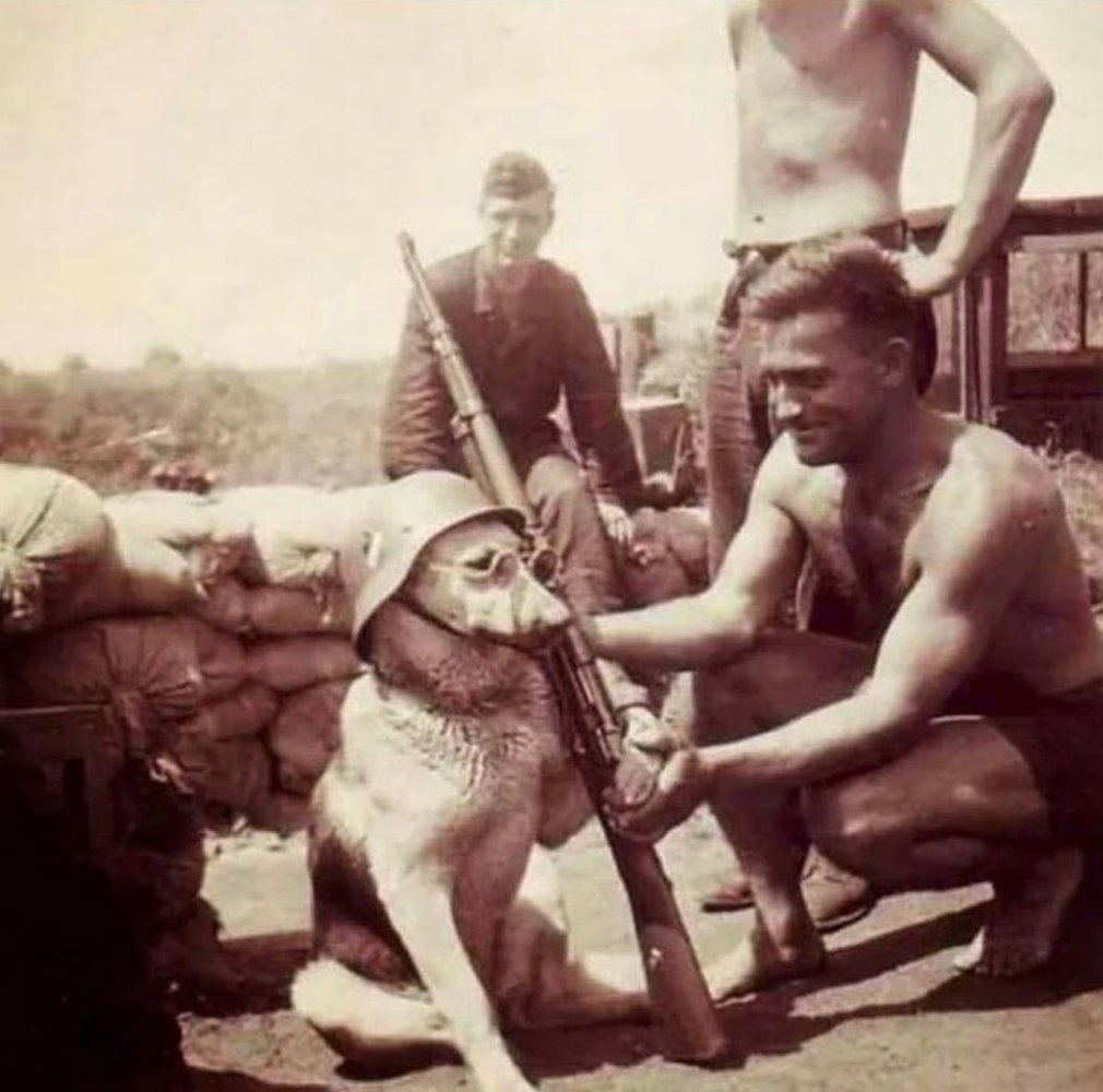 CauseWereGuys's tweet photo. When you're a good boy but your friends get you into some sketchy shit... https://t.co/5EQEdDb7QF