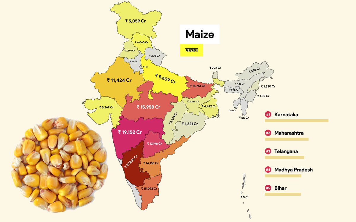 Maize