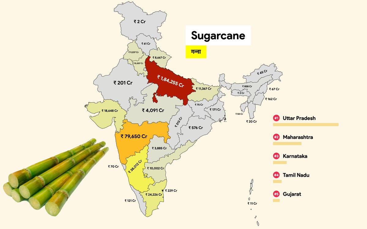 Sugarcane