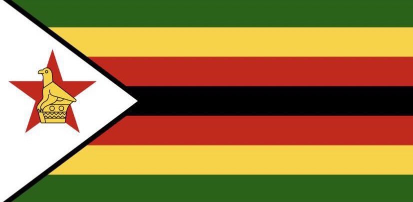 cleo_dhege's tweet photo. The flag:                            The face:           #ZIM41 https://t.co/Z9zfTrccNV
