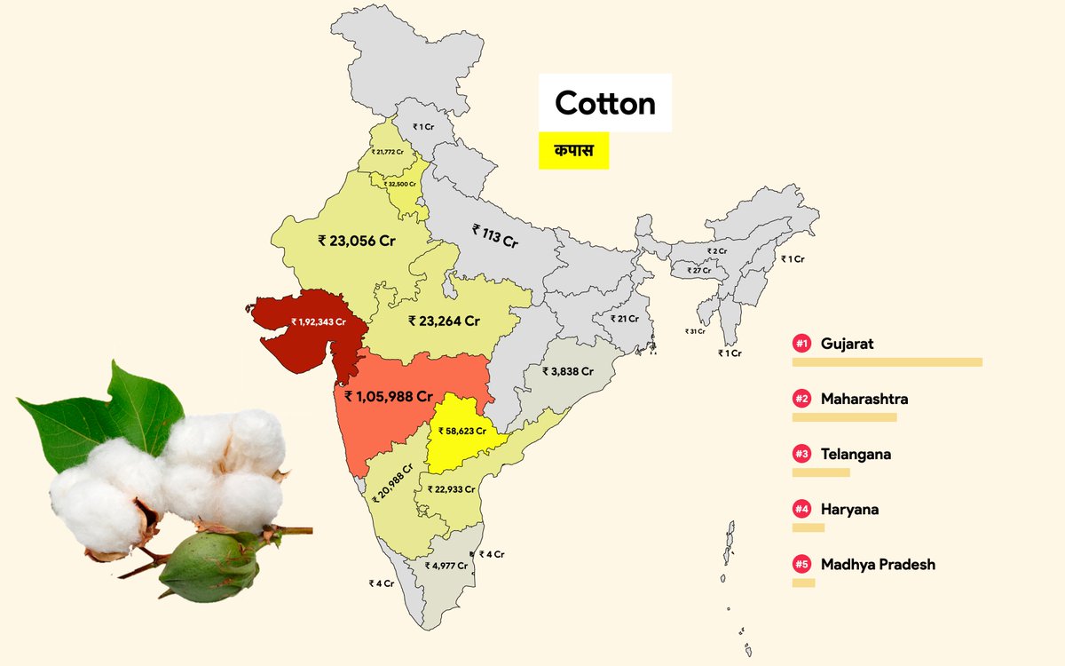 Cotton