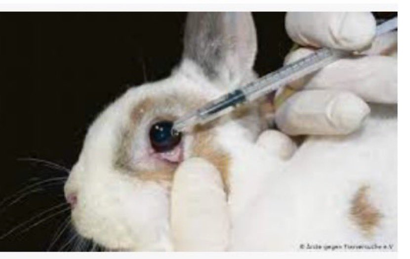 Help End Animal Testing!
It is not your job Ralphy, 
It is our job to put “animal testing” 
to an end. 

#SaveRalph #StopAnimalTesting