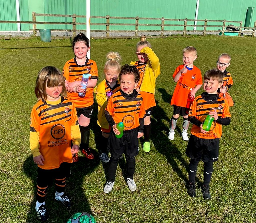 💥Back on the pitch💥

Fantastic to get our u9s, u8s &amp; brand new u5/6s back to <a href="/CarmarthenFML/">Carmarthen Football Mini League</a> action yesterday!

Great weather 🌞 &amp; finally able to wear the new kits sponsored by GFS 🔥🐯  glynneathfinancialservices.co.uk

Smiles and teamwork on show from them all ☺💪

#proud #GoTigers
