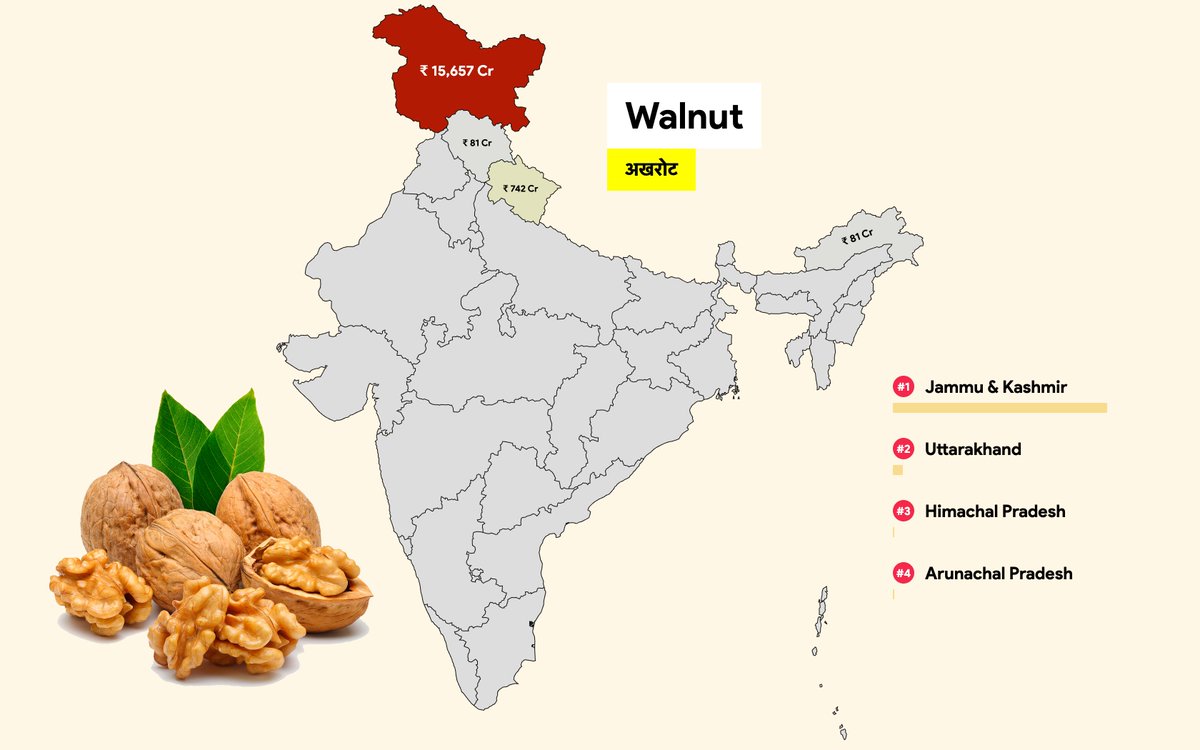 Walnut