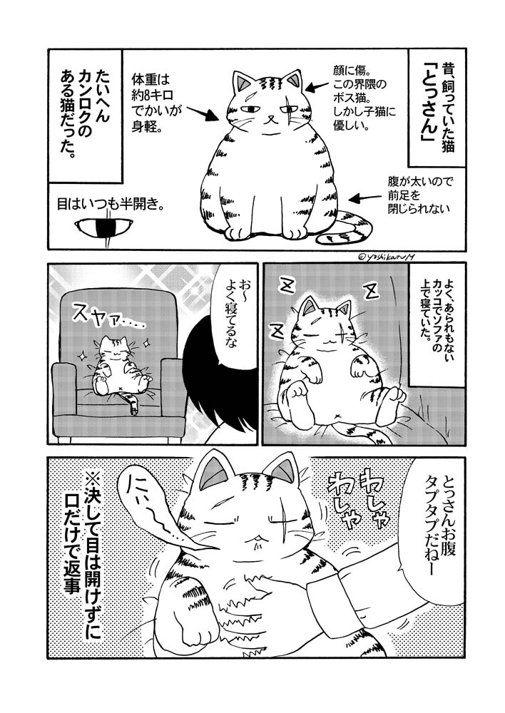 猫の漫画