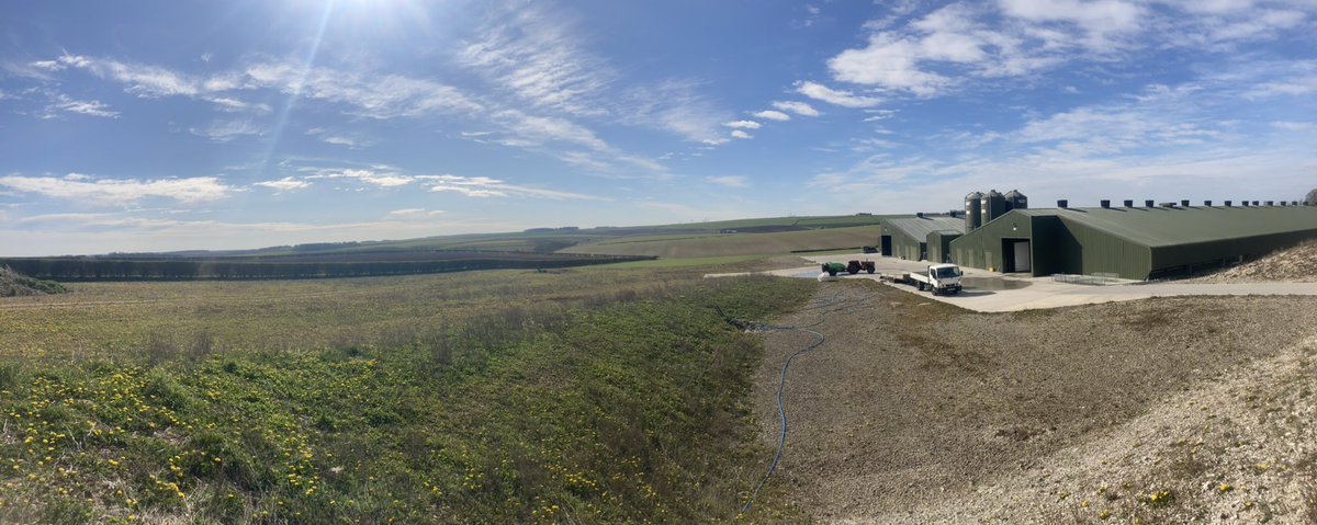 There’s worse places to be at on a #sunnysunday. The site is looking 👌and all ready for shavings and chicks in the next few days. @CollinsonAgri @Morspan @MF_EAME