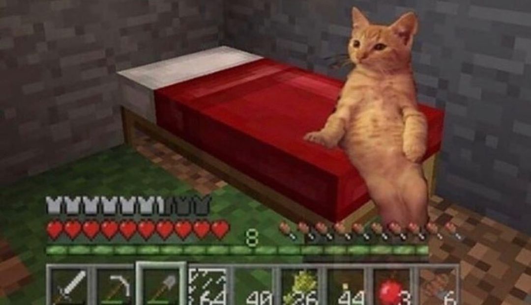 EzPwajHVcAcih9x?format=jpg&name=medium